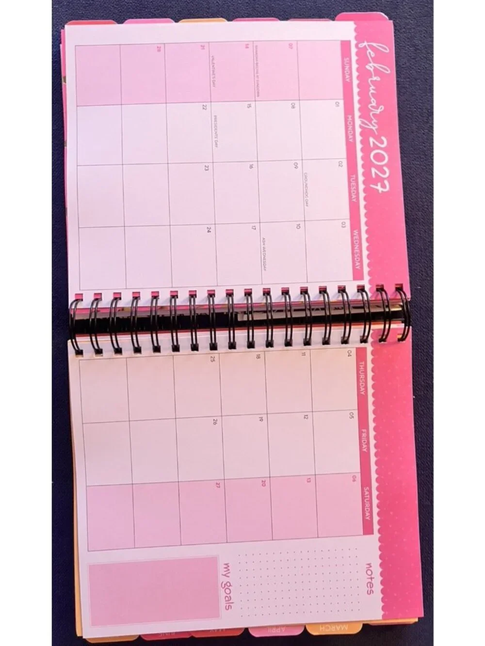 SKULL & ROSES 17 Month 2026-2027 Planner Month Day Week Organizer Planning Note